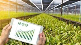 Agricoltura 4.0, l'evoluzione della coltivazione: da domestica a domotica