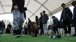 Unità cinofile e droni, la coppia imbattibile: a Sora nascono i “droni-dog”