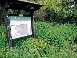 Fiuggi, centro e periferia nel degrado: residenti esasperati e turisti in fuga