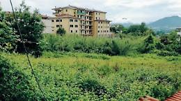 Rovi, arbusti e degrado tra le abitazioni: l'appello dei residenti esasperati