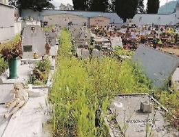 Isola del Liri: cimitero nel degrado, la rabbia corre sui social