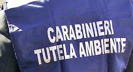 Traffico illecito di rifiuti, sequestri e perquisizioni tra Roma e Frosinone