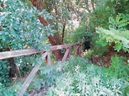 Giungla viale Mazzini, erbacce ovunque e la scalinata è... sparita