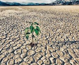 Rischio desertificazione: tra cambiamenti climatici, siccità e consumo del suolo