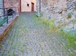 Case in rovina, erba alta e degrado: i residenti protestano