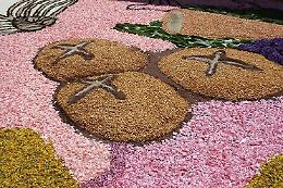 Ceprano, tutto pronto per l'infiorata del Corpus Domini