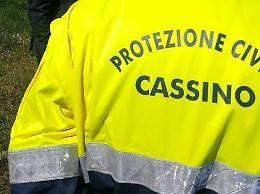 Cassino, danno fuoco ad un albero: caos in pieno centro