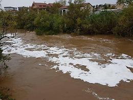 Ambiente avvelenato: moria di pesci nel fiume, dal Comune rassicurano