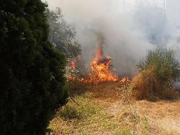 Sventato un incendio boschivo: l'intervento dei ragazzi del servizio civile