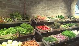 Salute e gusto a tavola: mangiare sano con i prodotti a chilometro zero