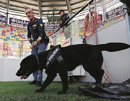 Una "tranquilla" serie A: cinque arresti e 12 daspo per i tifosi