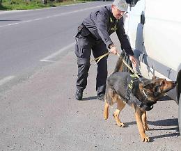Cocaina tra i pannolini e il biberon: arrestata una coppia