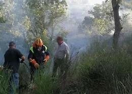 Nel bosco con una tanica di liquido infiammabile: piromane smascherato