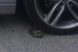 Sora, nell'ex Tomassi adesso spuntano pure i... serpenti