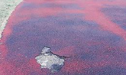 Frosinone, Acqua fredda e senza luce: proteste al Campo Coni