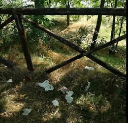 Erba alta e sporcizia al lago di Canterno: l'appello e la rabbia sui social