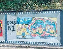 Frosinone, vandali all'opera: murales di via Ciamarra deturpati