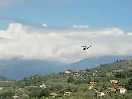 Si ferisce con la motosega mentre taglia un albero: 35enne subisce amputazione