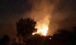 Le fiamme divorano ettari di boschi: gravi danni a flora e fauna