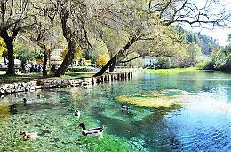 Concorso Wikimedia: il lago e la riserva si mettono in posa