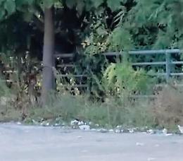 Incuria e degrado al Campus: parcheggio della Folcara in condizioni disastrose