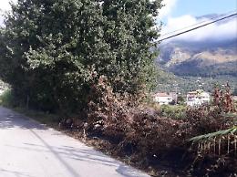 Sora, strada invasa dalla vegetazione e zero sicurezza: sale la tensione
