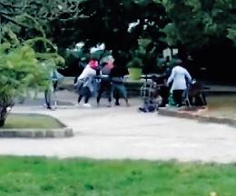 Calci, schiaffi e spintoni: una rissa tra immigrati semina il panico