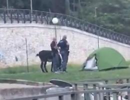 Pellegrino "parcheggia" l'asino fuori della tenda: arriva la polizia