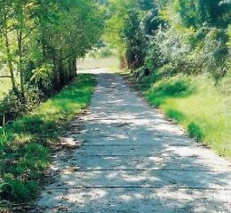 La via del Pellegrino finita nel dimenticatoio: appello al Comune