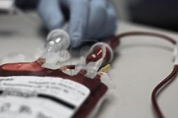 Una donna rifiuta trasfusione per motivi religiosi e muore