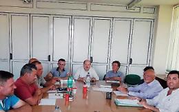 Cinghiali nei terreni agricoli privati: per la caccia servono nuove regole