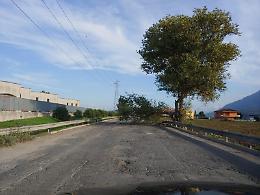 Stradone Asi, stop ai lavori. E intanto cadono anche gli alberi