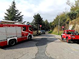Allarme calabroni vicino la scuola, i vigili del fuoco sventano il pericolo