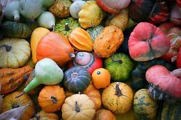 Prodotti tipici e tradizioni: promuovere il territorio con la biodiversit&agrave;