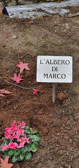 Un albero per non dimenticare il sorriso di Marco Cialone