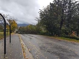 Maltempo, Ciociaria in ginocchio. Danni ovunque. Tromba d'aria a Vallepietra