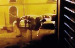 Urla, liti, aggressioni fra giovani: la movida violenta finisce in un video
