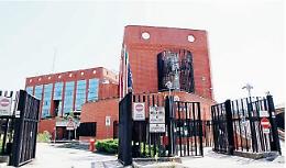 Prostituzione e faide a colpi di pistola: ora si teme un'escalation di violenza