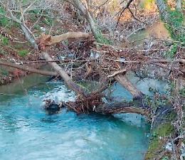 Tronco nel fiume, pericolo in via Pratillo: scatta l'allarme