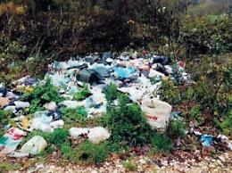 Rifiuti ovunque e animali abbandonati nelle discariche abusive: l'indignazione