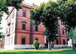 Progetto Ossigeno: un modo per salvare gli alberi di Natale