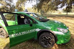 Traffico illecito di rifiuti, scoperta discarica abusiva: interrogatori al via