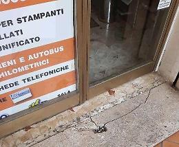 Ladri in maschera terrorizzano una donna inferma, poi scappano via. Il racconto