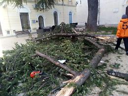 Bufere di vento e neve: danni e disagi. In azione mezzi spargisale e spazzaneve