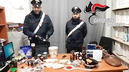 Produzione, traffico e detenzione di sostanze stupefacenti: quattro denunciati