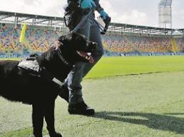 Frosinone - Salernitana: seconda gara consecutiva 'a rischio' allo Stirpe