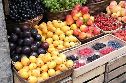 Inverno anomalo e colture in tilt: scende il prezzo di frutta e verdura