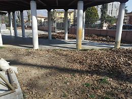Sora, parco Valente abbandonato al degrado: sale la rabbia dei cittadini