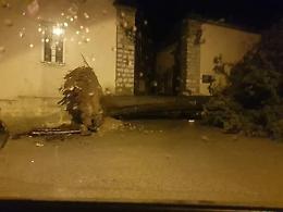 Maltempo, Ciociaria sferzata da nubifragi e vento: cadono alberi e piante