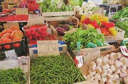 Successo per le domeniche di cultura, del gusto e del mercato: prossime date
